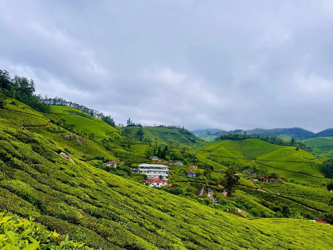 7 Malai Residency Hotell Munnar